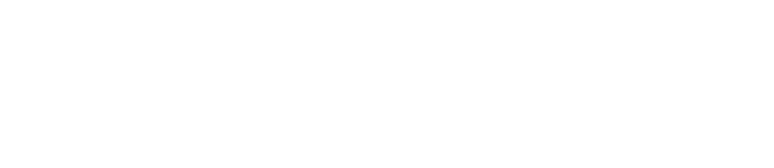 InTimeTec (silver)